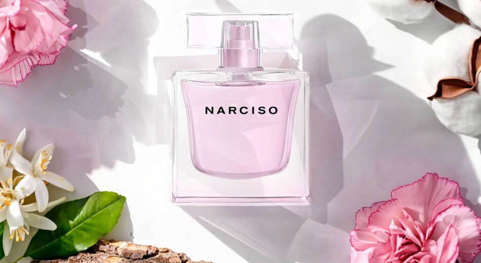 Narciso Radiante: Embracing Purity and Calm